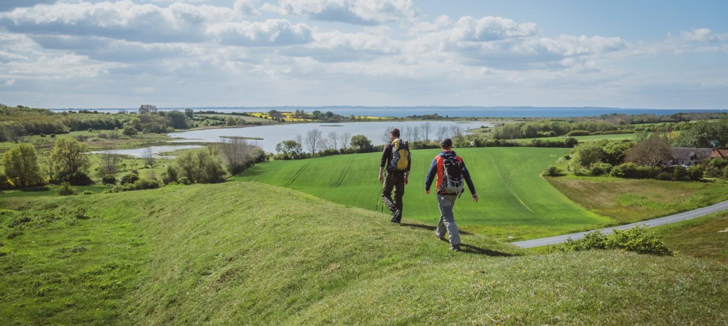 Vandring på Ærø