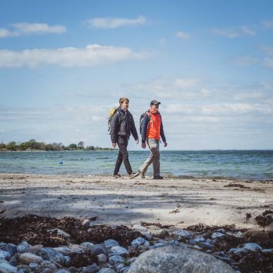 Vandring på Ærø, familieaktiviteter på Ærø